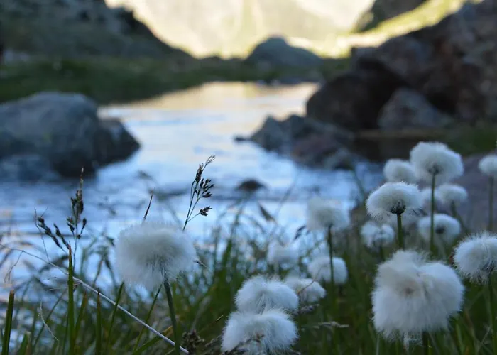 Гостевой дом Rosenhuegel