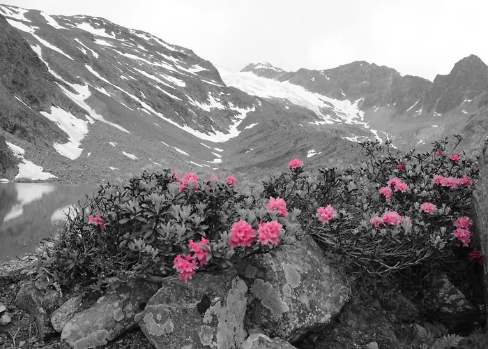 Rosenhuegel Gasthuis